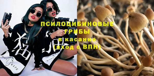 прущая мука Инта