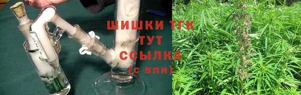 прущая мука Инта