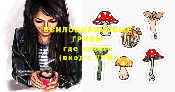 прущая мука Инта