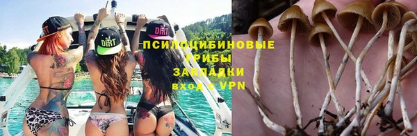 мескалин Инсар